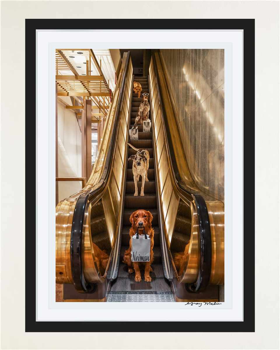 "Escalator Ride, Neiman Marcus, Downtown Dallas" Framed Fine Art Photography Print